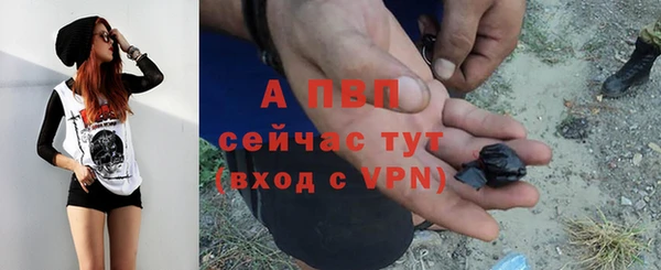 мяу мяу мука Приозерск