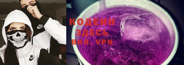 прущие грибы Сосновка