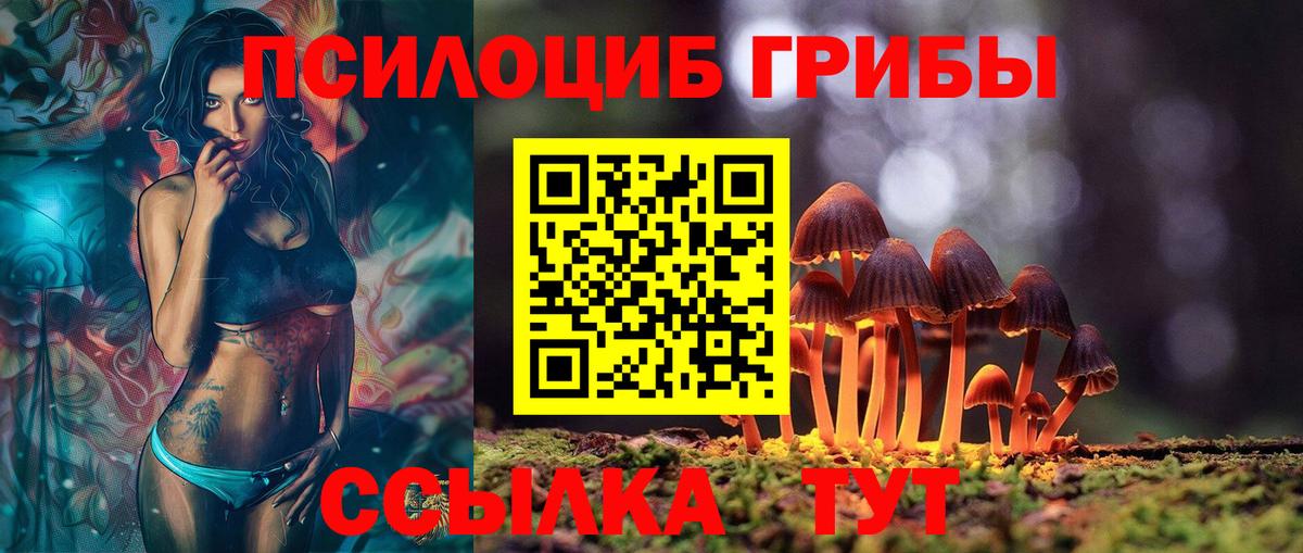 Псилоцибиновые грибы прущие грибы  Вход с VPN  Тосно 