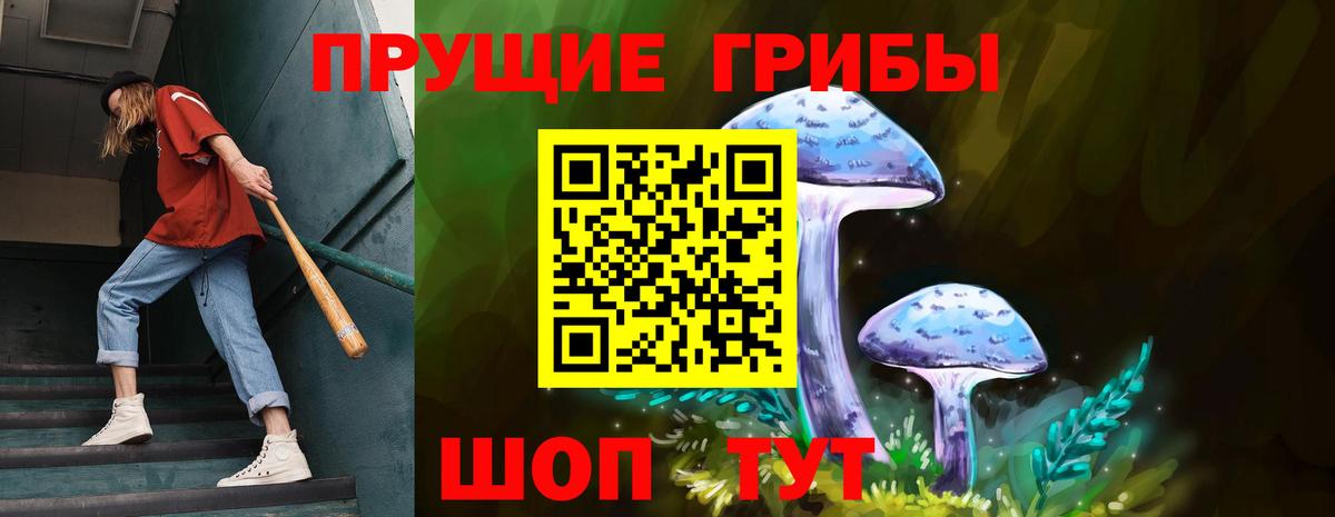 Псилоцибиновые грибы Magic Shrooms Тосно